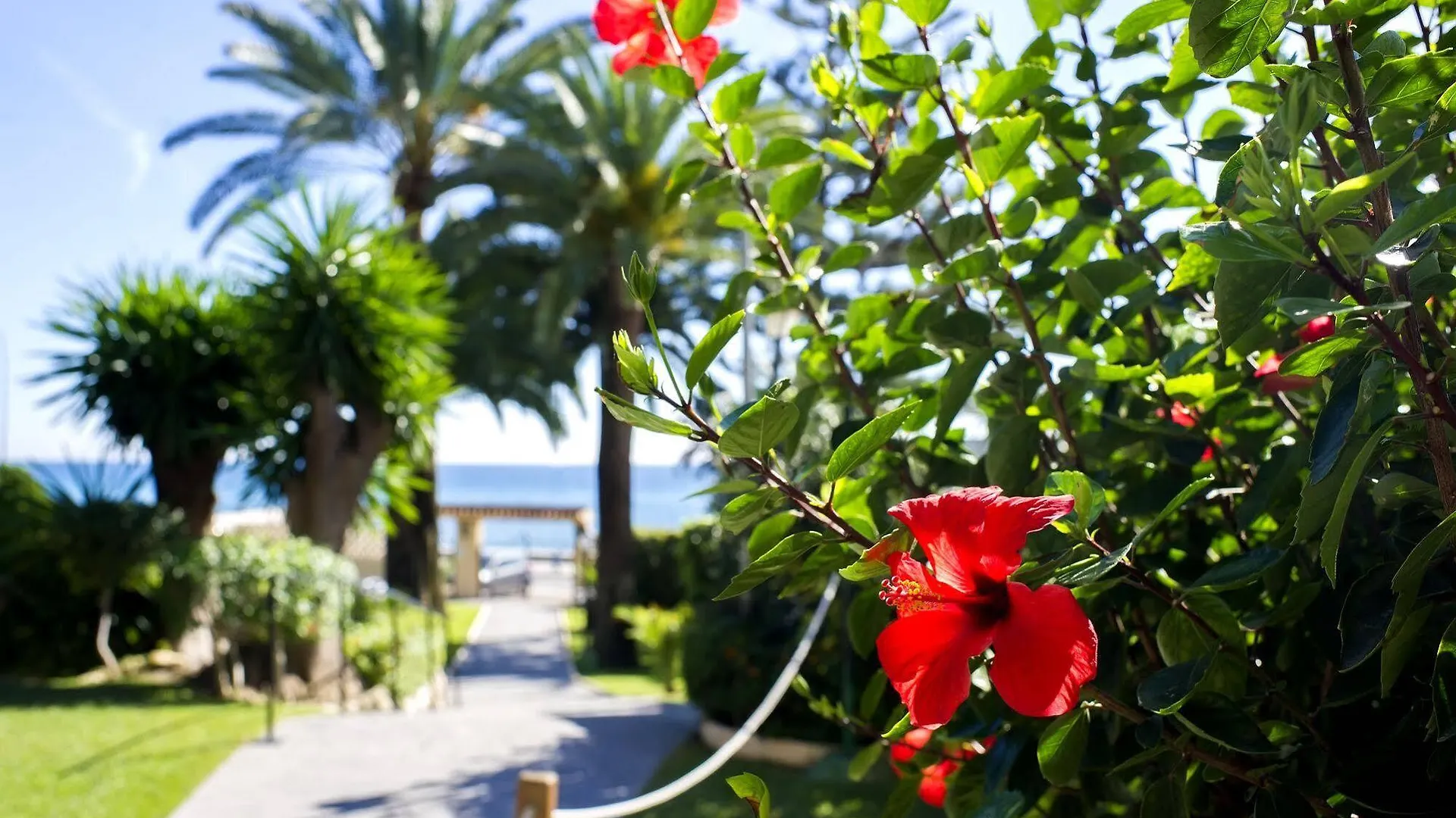 Hotel Globales Gardenia Fuengirola